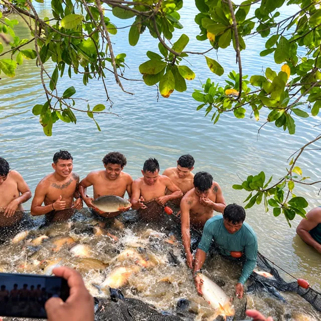 Trabajo con redes durante la cosecha de peces.
