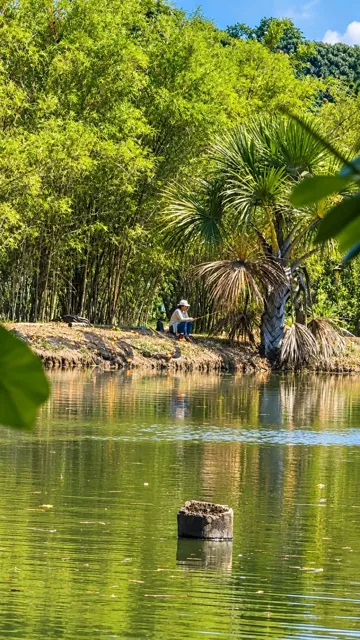 Una jornada de pesca entre palmeras y bambú.
